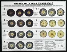 Maturity & Quality Granny Smith Apple Starch Scale