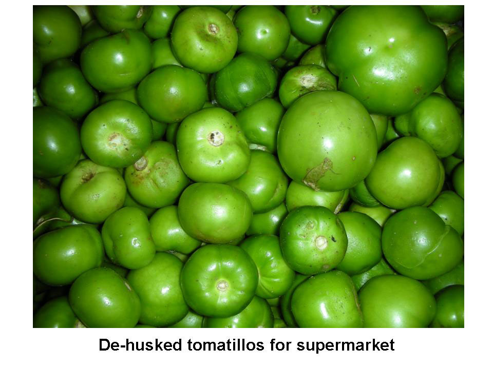Tomatillo (Husk Tomato) Postharvest Research and Extension Center