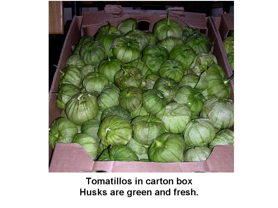 Tomatillo (Husk Tomato) Postharvest Research and Extension Center
