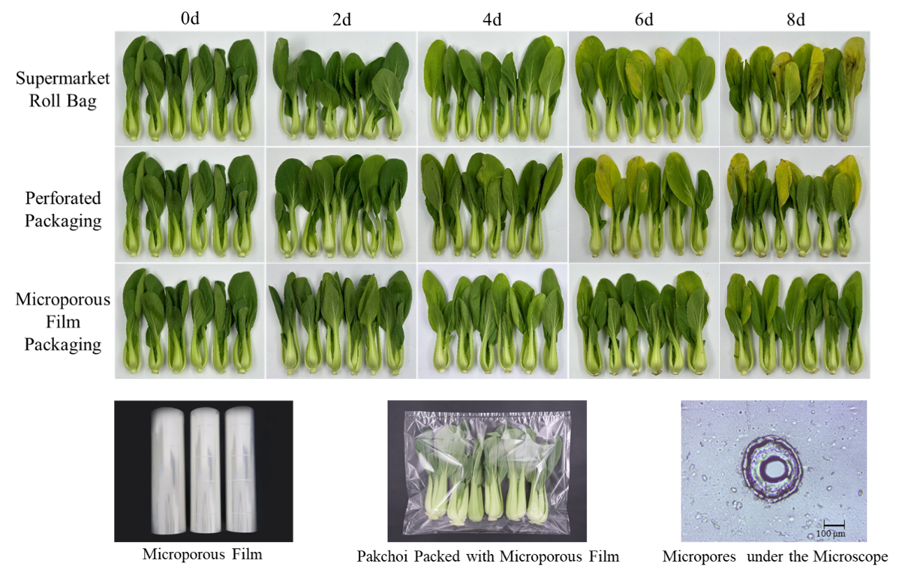 Pakchoi Microporous Film Packaging