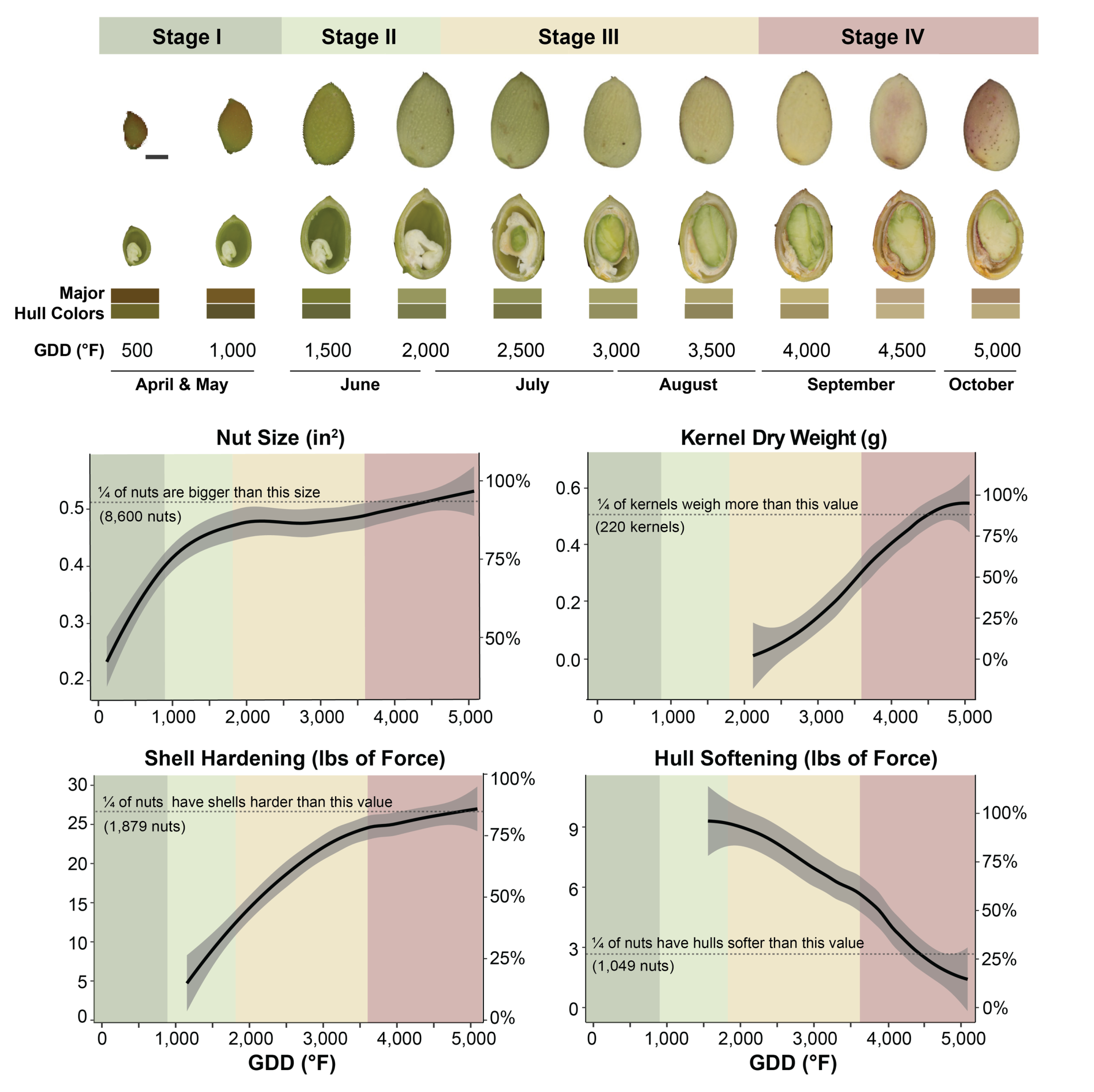 pistachio growth stages