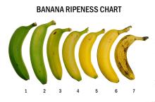 Maturity & Quality Banana Ripening Chart
