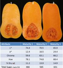 Maturity & Quality Pumpkin & Winter Squash