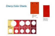 Maturity & Quality Cherry Color Chart