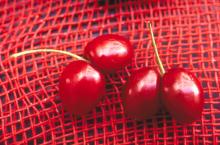 Cherry Doubles (1)