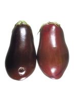 Disorders Photos Eggplant