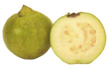 Picture of a Mature Guava