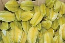 Maturity & Quality Starfruit (Carambola)