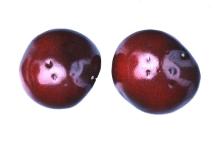 Cherry: Surface Pitting & Bruising