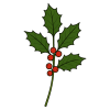 holly