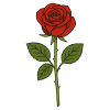 rose